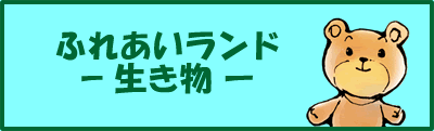ふれあいランド　生き物