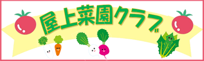 屋上菜園クラブ